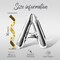 Letter Balloons - BIG BRO 16" Inch Alphabet Letters Foil Mylar Balloon Baby Shower or Birth Announcement Photo Shoot Balloon Banner (Silver)